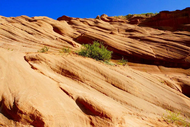 黄土地 文/崔云生(山东)(图1) 黄土地.jpg