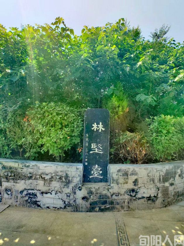 林坚台.jpg