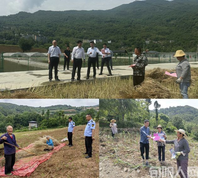 旬阳市:用好“五步”到位法,筑牢秸秆禁烧“防火墙”(图1) 001.jpg