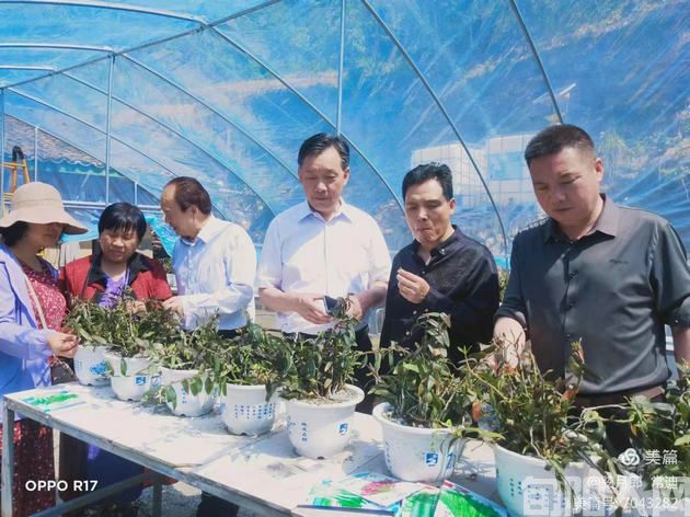 旬阳市棕溪商会参与一场别开生面短视频直播带货比赛纪实(图5) 活动4.jpg