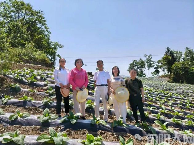 我的往事(111):莫伸老师 文/李康平(图4) 莫伸老师2.jpg