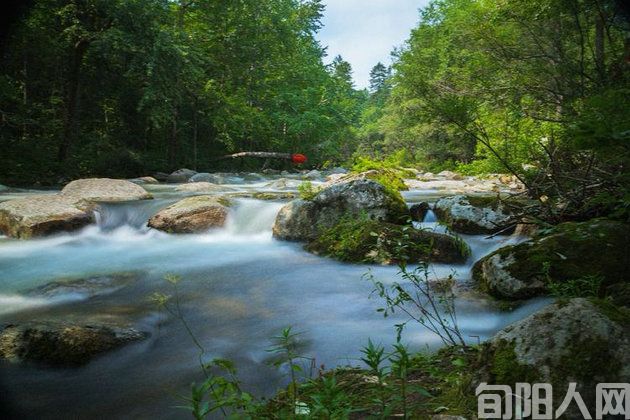 行走山水间(三) 文/张利平(图2) 泉.jpg