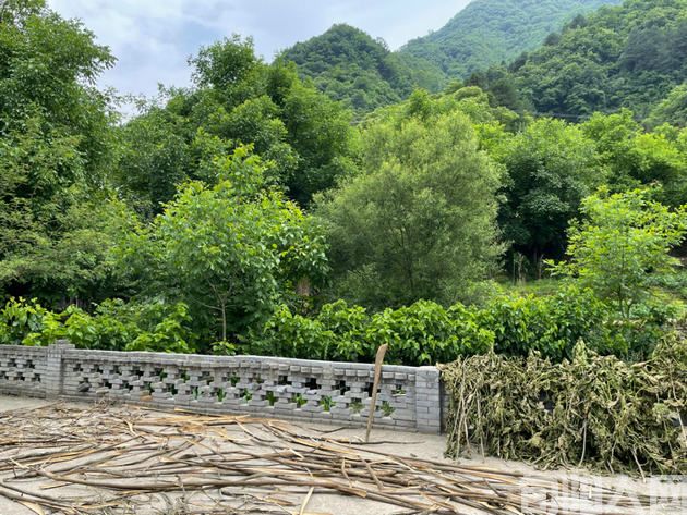 行走山水间(四) 文/张利平(图2) 商州.jpg