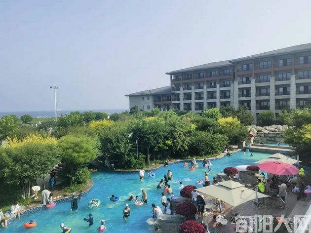 夏日的意外    文/李康平