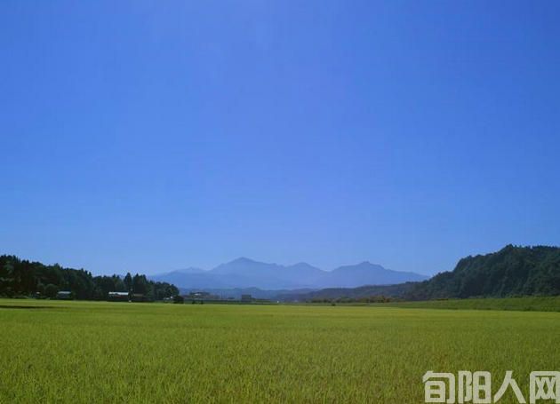 当时只道是寻常    文/吴凡花