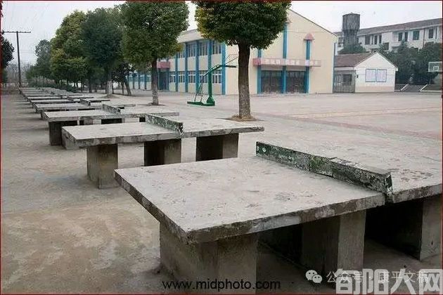 我的体育缘（2）   文/李康平