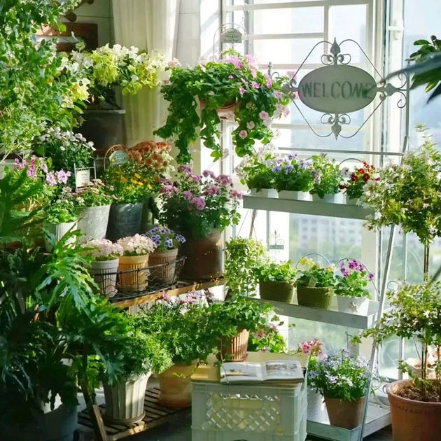 《六十以后》5.复习家务（3）  文/李康平