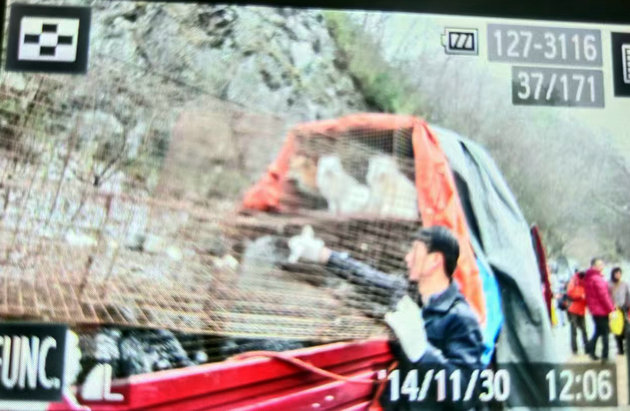 秦岭深山放生 文/棕杰(图2) 放生2-1.jpg