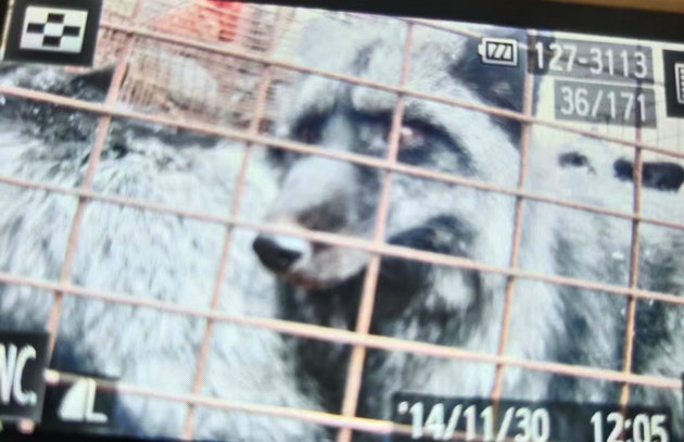 秦岭深山放生 文/棕杰(图5) 放生5.jpg