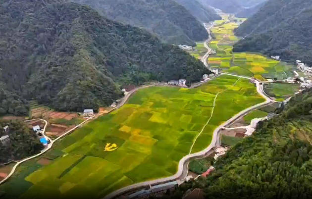 陕西旬阳:荒地成园区 黄土也生金(图1) 水泉坪稻田.jpg