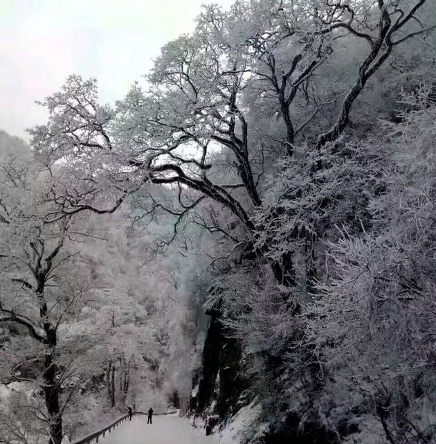 羊山雪景 文/棕杰(图1) 雪景.jpg