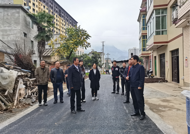 陕西旬阳市白柳镇:汇聚“政”能量 “协”创好环境(图3) 视察白柳社区罗家院人居环境改造项目.png