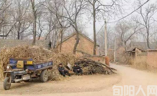 怀想那些岁月 文/胡 骥 (图1) 子洲.png