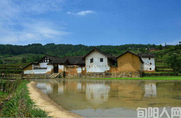消逝的水田 文/书笑(图2) 水田.png