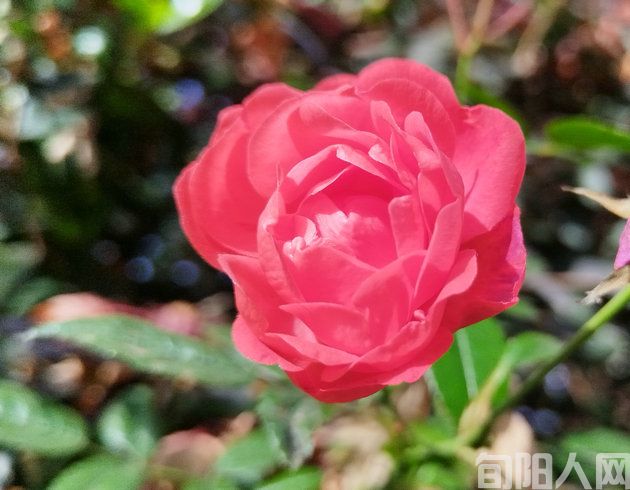 识交往之价,取进发之法 文/陈奕先(图1) 插图.jpg