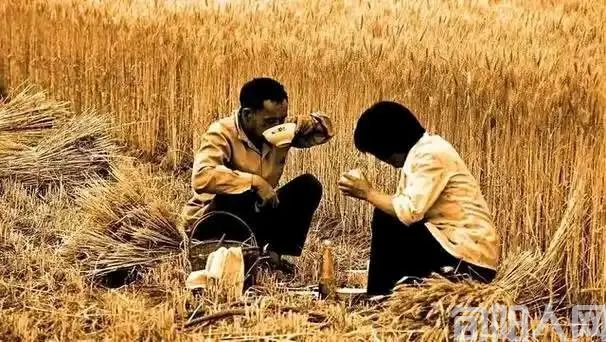 田间送饭 文/周日清(山西)(图1) 送饭.jpg