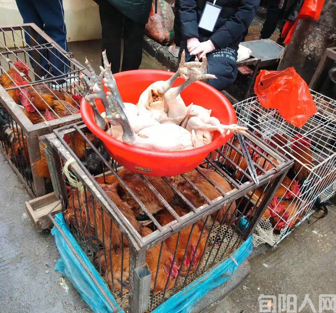 旬阳喜迎春节:热闹的年货市场(图5) 微信图片_20250128121044.jpg