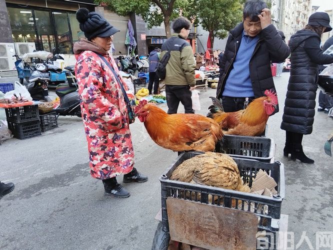 旬阳喜迎春节:热闹的年货市场(图7) 微信图片_20250128121123.jpg
