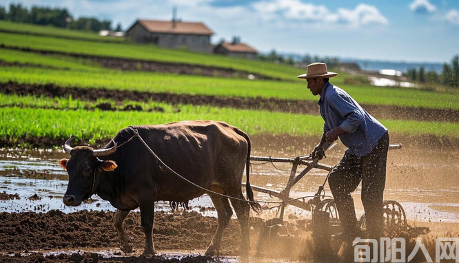春耕 文/李明清(图1) 微信图片_20250203130547.png