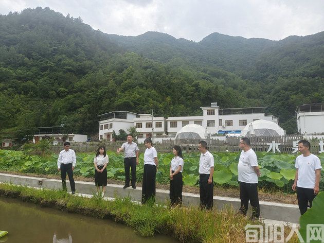 为人民幸福奋斗不止 —-旬阳市仁河口镇2024年工作侧记(图1) 第一书记组团服务谋划产业发展.jpg