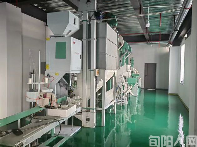 陕西旬阳市仁河口镇:双招双引显成效 民营企业“唱主角”(图4) 魔芋米线加工项目即将投产使用.jpg