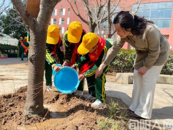 &ldquo;植&rdquo;此青绿         文/卫轩