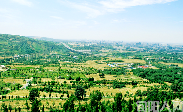 “植”此青绿 文/卫轩(图2) 绿色.png