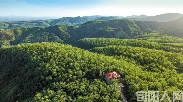 “植”此青绿 文/卫轩(图3) 绿色3.jpg