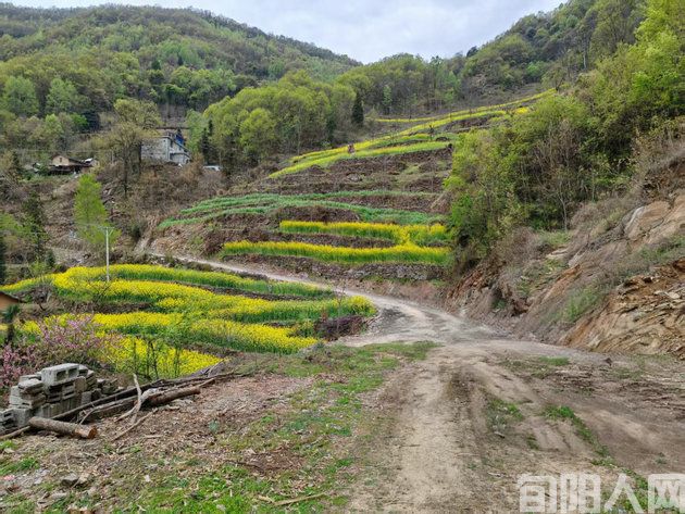 故园情深:老屋、石阶、水井与岁月的痕迹(图1) 老家.jpg