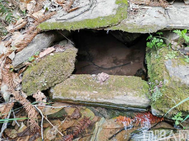 故园情深:老屋、石阶、水井与岁月的痕迹(图2) 老家2.jpg