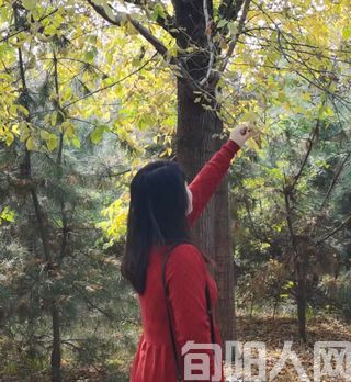 叶墨香:家乡的三月三(图2) 叶.jpg