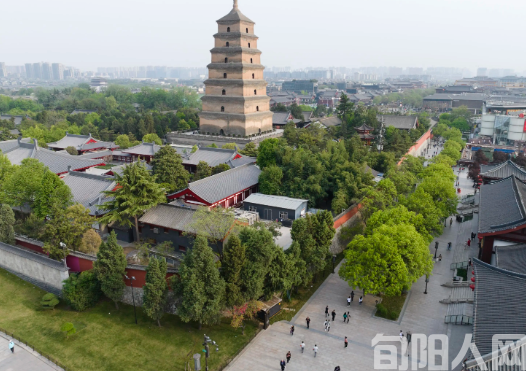 棕杰:游西安(图1) 西安.png