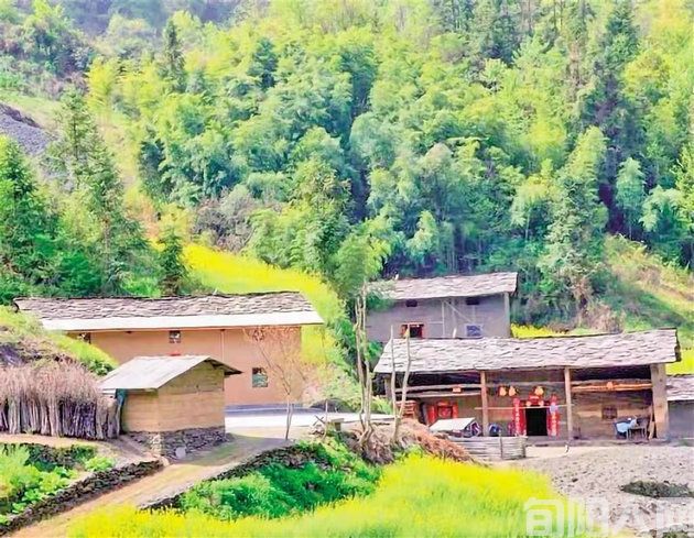 王庭德:与竹为邻(图1) 竹子.jpg