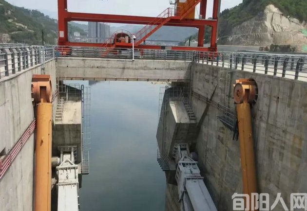 龚建华:守护旬阳生态平衡的绿色堡垒(图2) 1.jpg