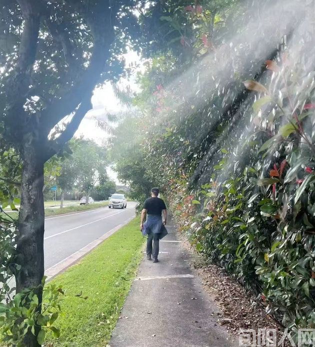 李康平:《异域风情(5):生命在于运动的新解》(图2) 运动.jpg