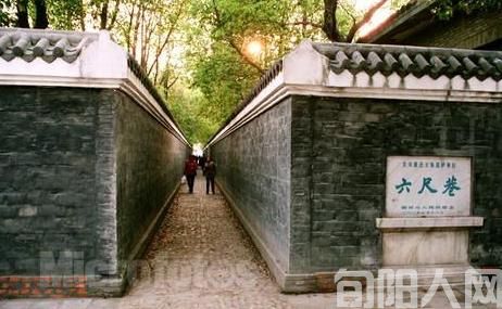 任永强：让一寸光，照见千年巷