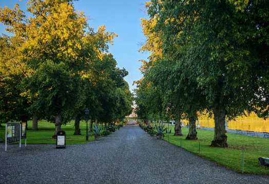 任永强:走进北欧(一) ——从奥斯陆的雕塑到皇后岛的风(图1)