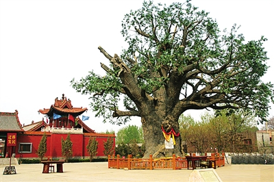 天下杨氏一家亲(图1) 8cd9bcd43dc810ba9878aa1b15f3f139.jpg