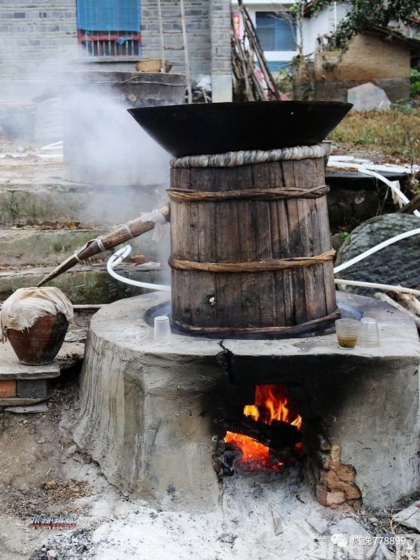 拐枣之乡(图2) mmexport1661574971752.jpg