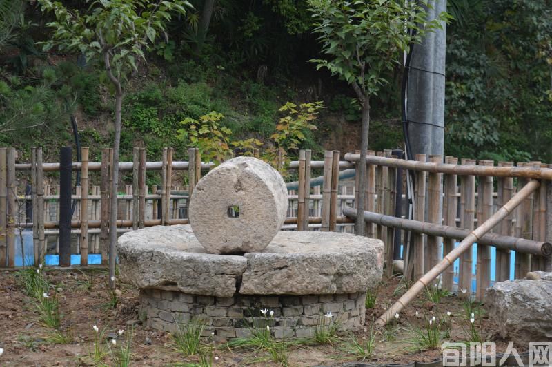 石磨(图2) mmexport1664512585996.jpg