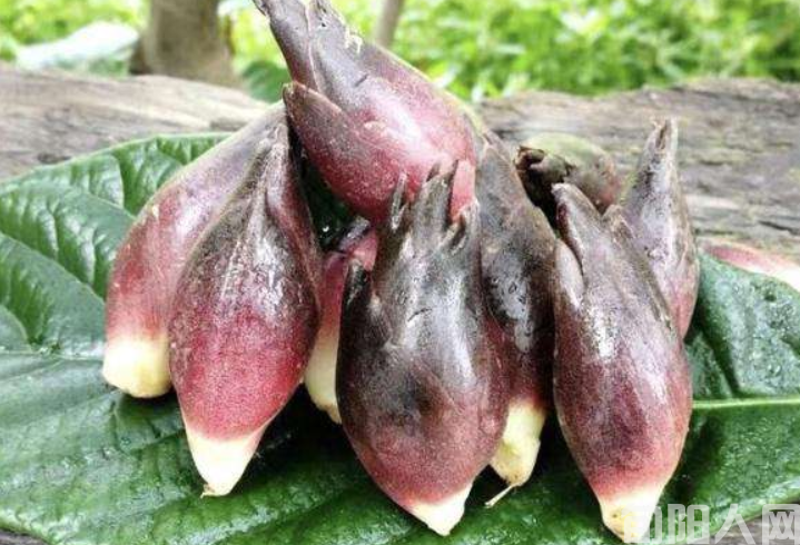 洋荷姜《杨进编》(图4) e873d37cc1154c2aa3963aff02ea147a.png